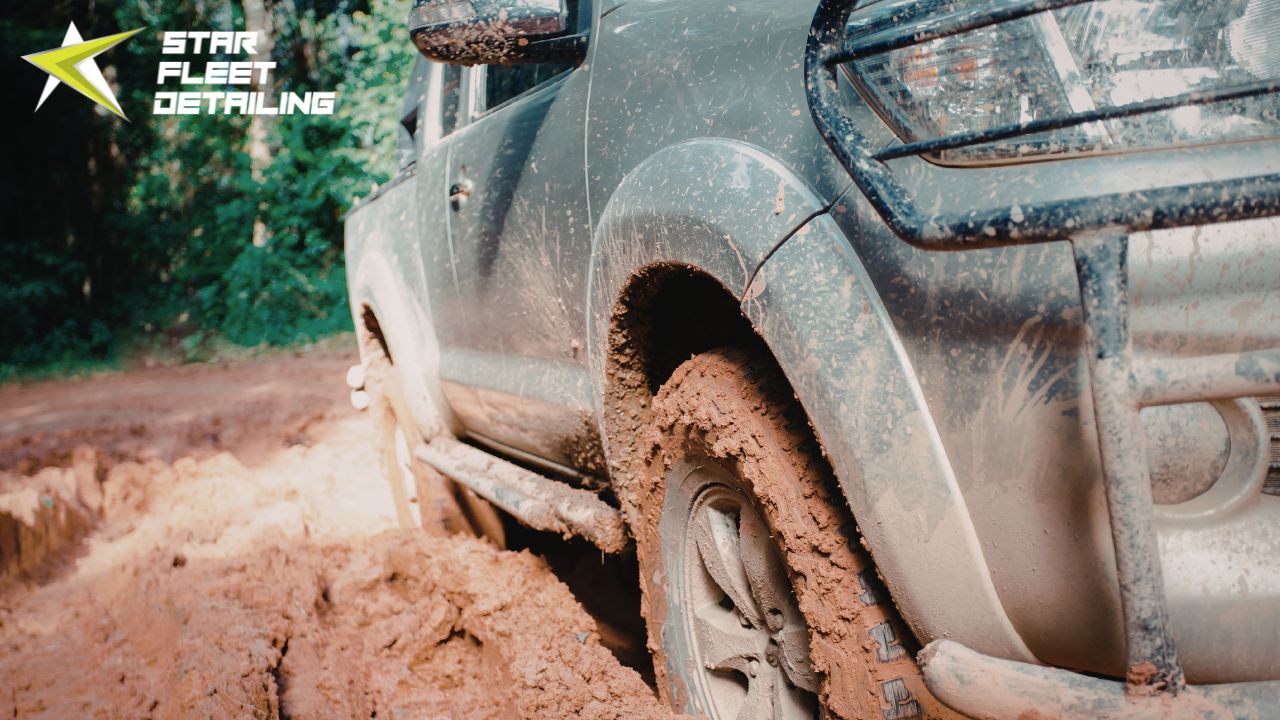 Auto Detailing in Edmonton