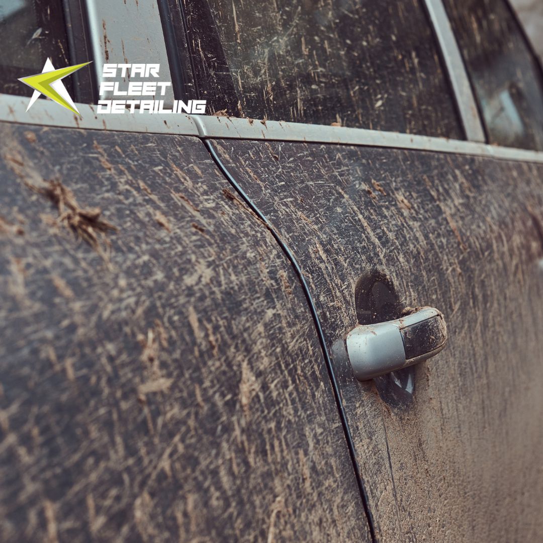 Auto Detailing in Edmonton
