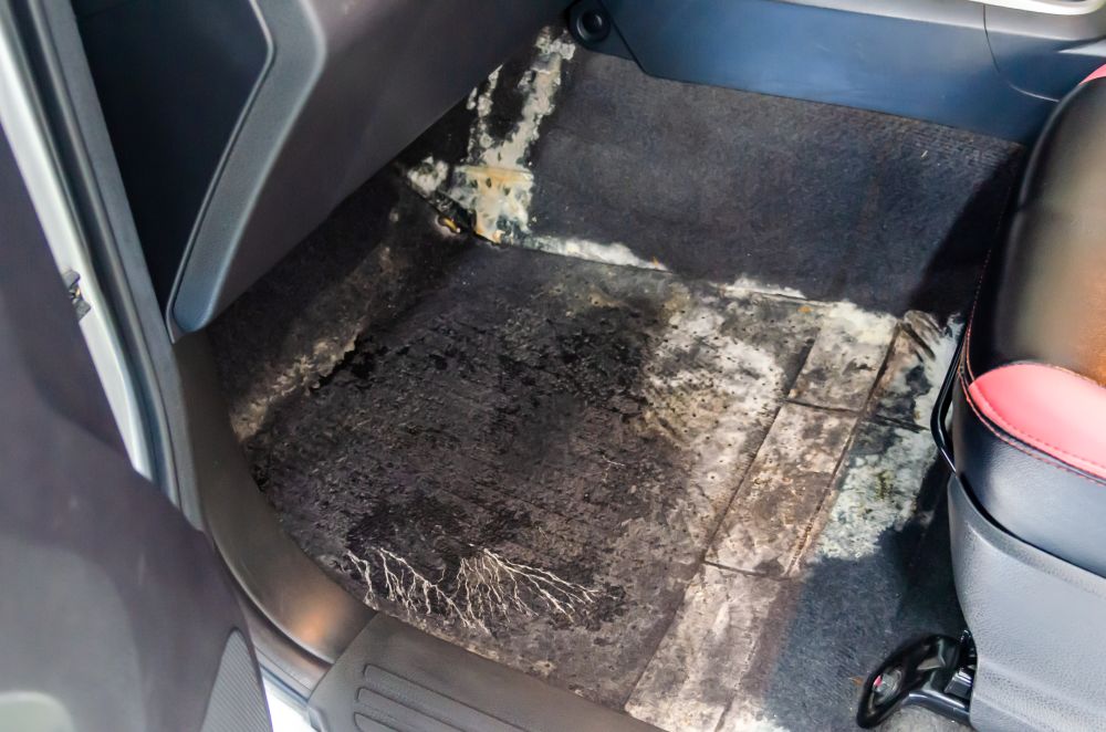 Commercial Detailing